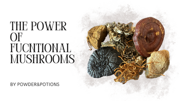 Functional mushrooms